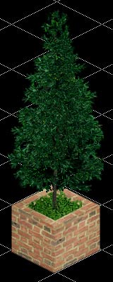 Now THAT'S a nice tree.